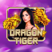 Dragon Tiger online games apk live-casino icon